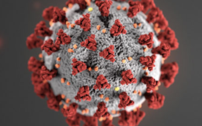 Coronavirus: Update From A Virologist