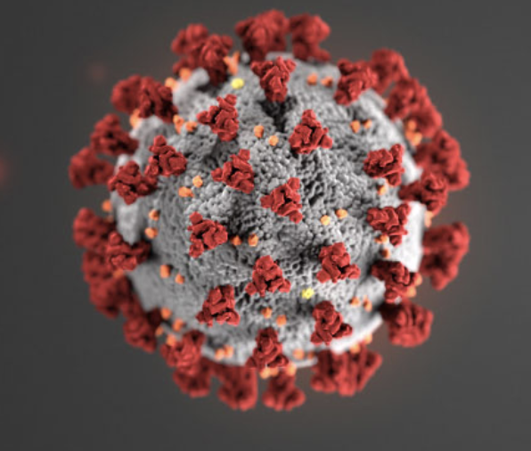 Coronavirus: Update From A Virologist